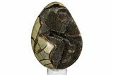 Septarian Dragon Egg Geode - Black Crystals #157896-2
